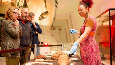  A museums Victoria expert presenting a talk in the Te Pasifika gallery during the Nocturnal after hours event, September 2017 at Melbourne museum.