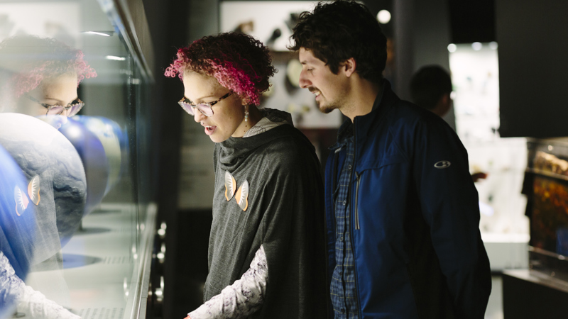 Adults enjoying child-free access to Dynamic Earth during Nocturnal at Melbourne Museum.