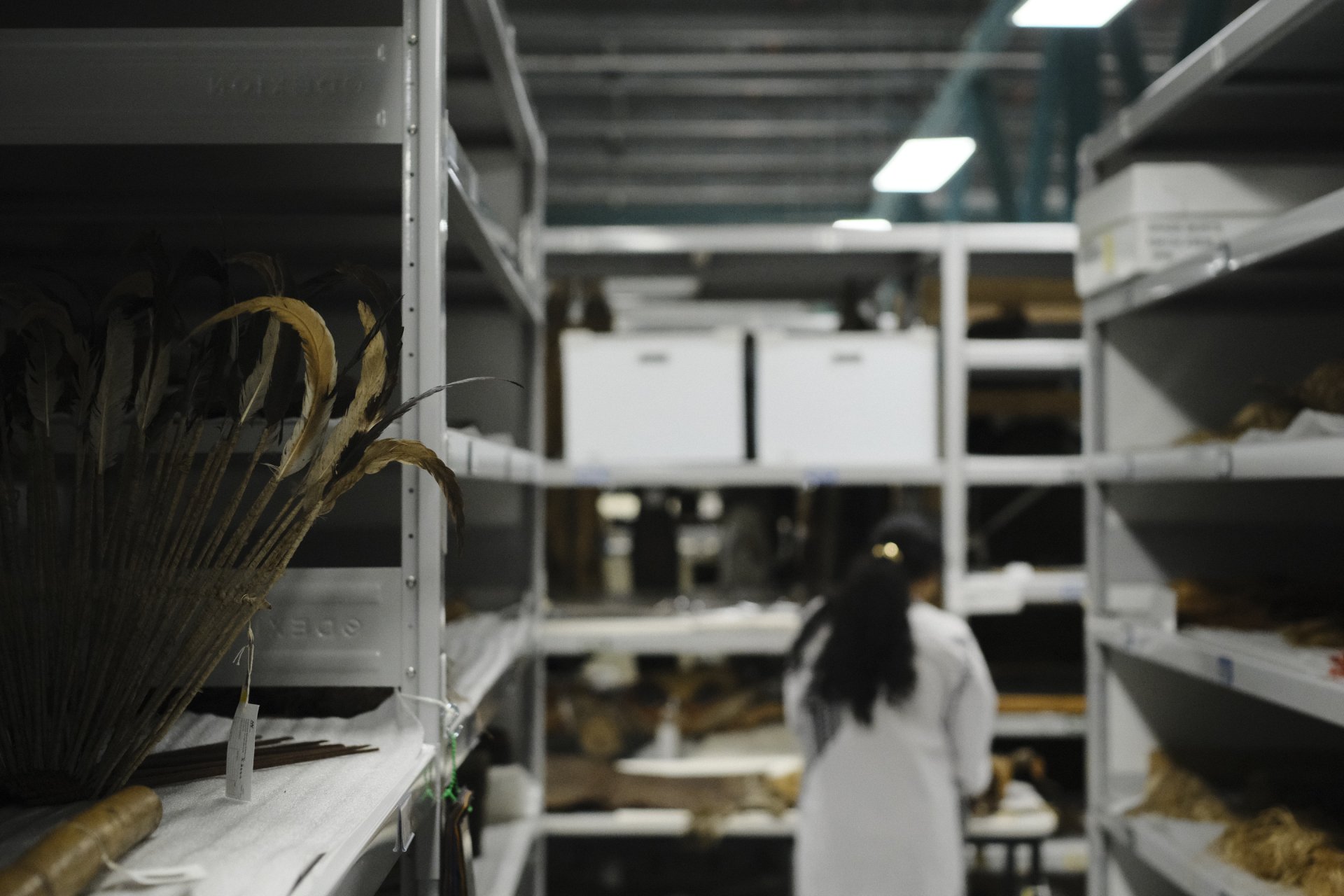 A woman in a white lab coat inspects collection items in the collection store. 