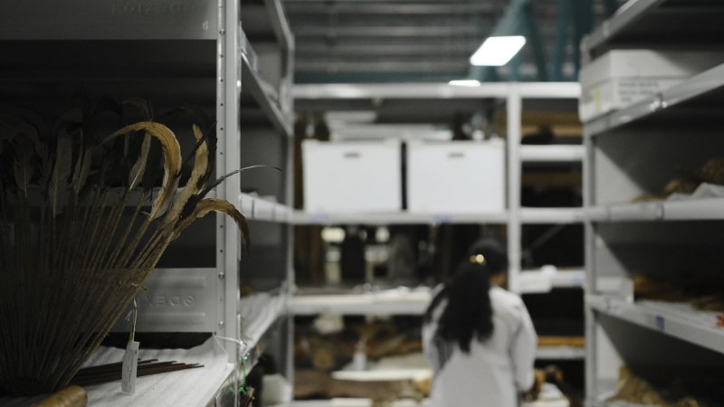 A woman in a white lab coat inspects collection items in the collection store. 