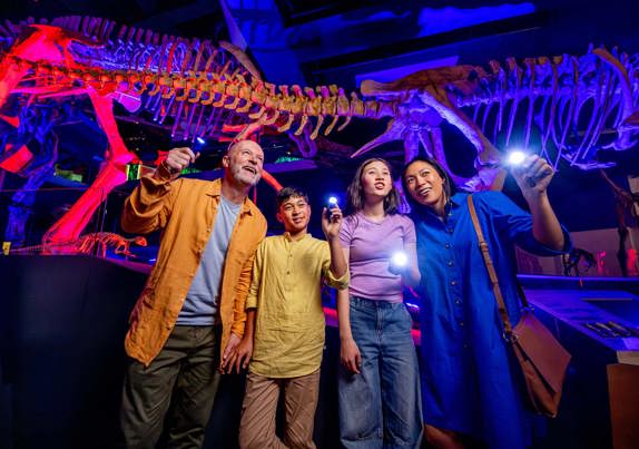 A family of four using torches under a dinosaur during the torchlight tour at family museum sleepovers.