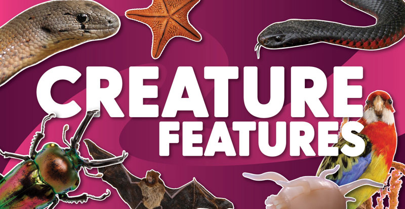 Creature Features