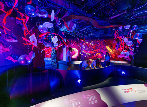Museum visitors interact with displays in a 'soil'-themed exhibition space.