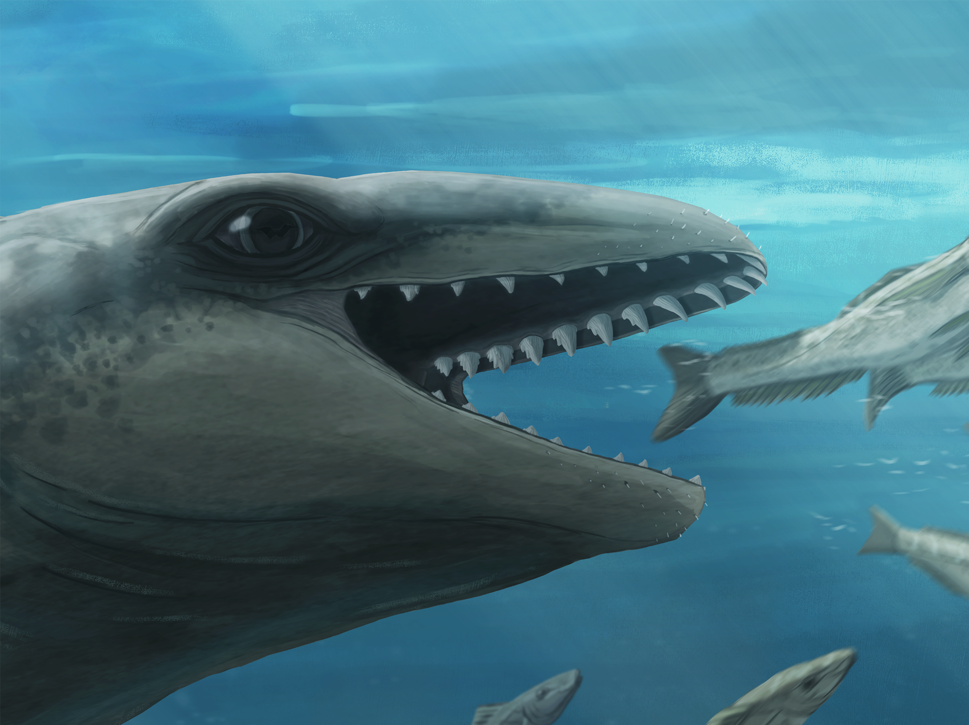 An illustration of a whale with large eyes and sharp teeth