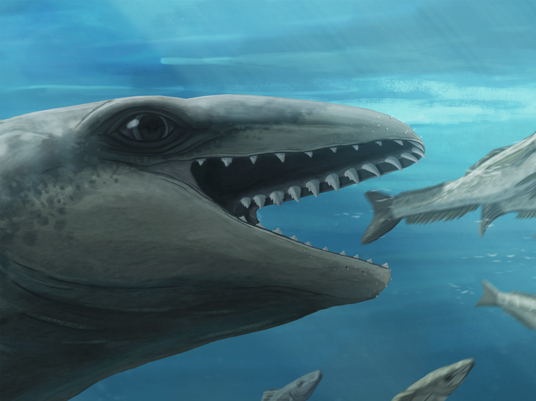 An illustration of a whale with large eyes and sharp teeth