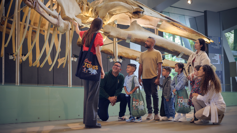 Tour group of young children and their carer's standing next to the Blue Whale