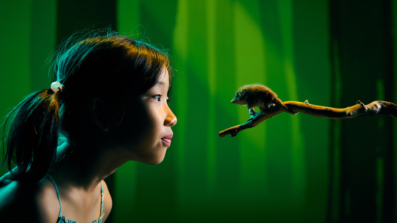 Close up of a young girl looking at a representation of a mycelium network.