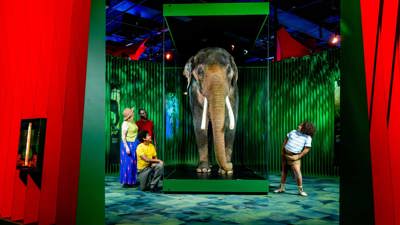 A museum exhibit featuring a life-sized Asian elephant mounted inside a green-framed glass display. The background is illuminated with vertical green stripes, creating a forest-like effect. Several visitors stand around the enclosure observing the elephant, with bright red walls framing the scene and blue patterned flooring beneath.