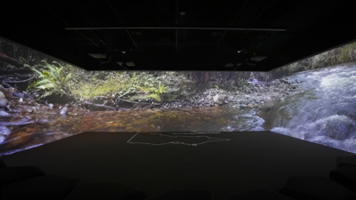 Scene from Victoria's Living Tapestry in the Learning lab at Melbourne Museum depicting a close up of a river in the rainforest.