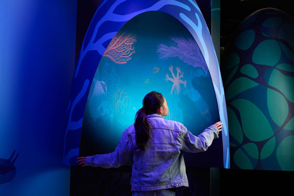 Person uses an interactive display inside Our Wonderous Planet exhibition at Melbourne Museum. They have their back to the camera.