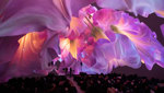 MIFF Fulldome Showcase 2026