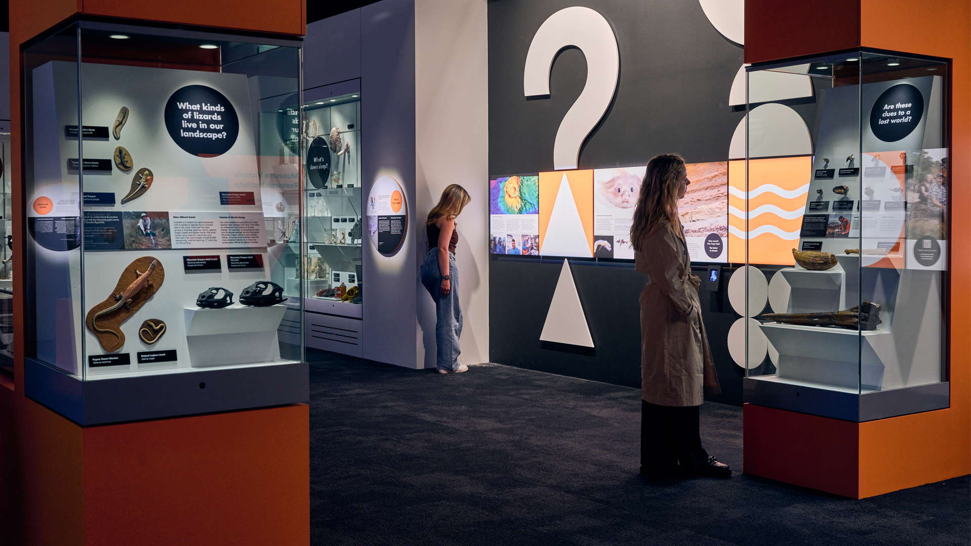 Two people look at animal and fossil displays in the Research Institute Gallery. Prominent signs read: 'Are birds ok?', 'What kind of lizards live in our landscape?' and 'Are these clues to a lost world?'.