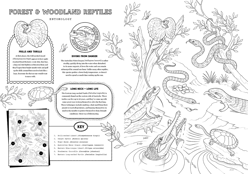 A page titles 'Forest & Woodland Reptiles' includes 7 reptile illustrations. A subsection titled 'Frills and Thrills' explains how the Frill-necked Lizard looks normal until scared when they open their bright mouths and puff up their frills to look larger. A second section titled 'Diving from Danger' explains that Australian Water Dragons dive into water when disturbed where they can stay for up to an hour. A third section 'Long Neck = Long Life' explains that Long-necked turtles can live up to 50 years.