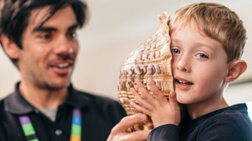Child holds up a giant triton shell up to their ear.