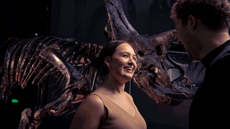 BECOME A MUSEUM MEMBER