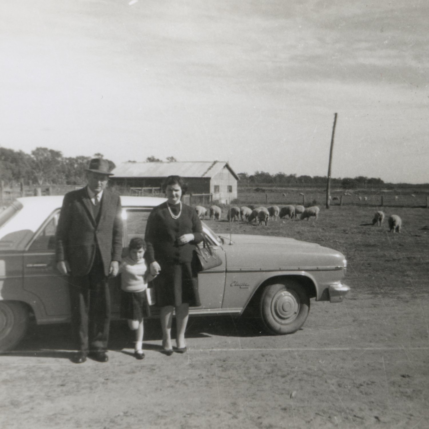 A family of three stand outside a car in front of a farm with sheep grazing in the background.
