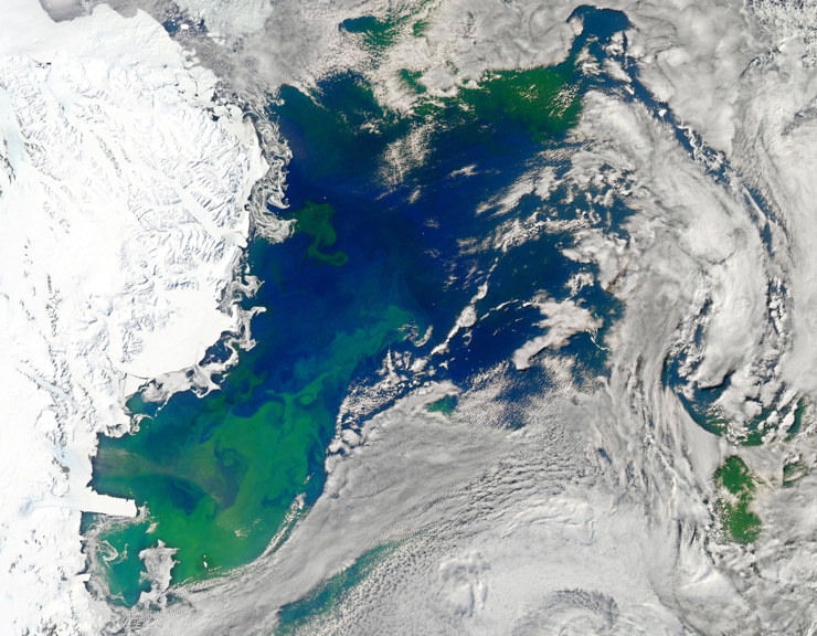 Phytoplankton bloom in the Ross Sea, Antarctica