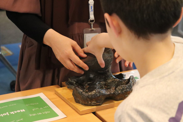 A student getting hands on with a fossil at a library.