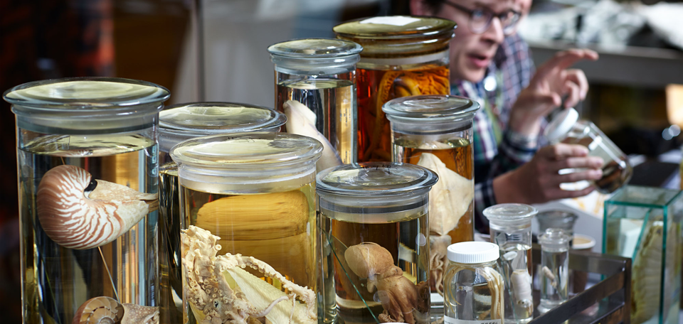 Jars of scientific marine specimens on a trolly