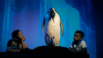Two children standing either side of a taxidermy model of an Emperor Penguin (Aptenodytes forsteri).