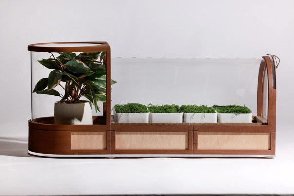 Wood-framed greenhouse with an arched, clear acrylic lid and an end compartment containing a potted plant.