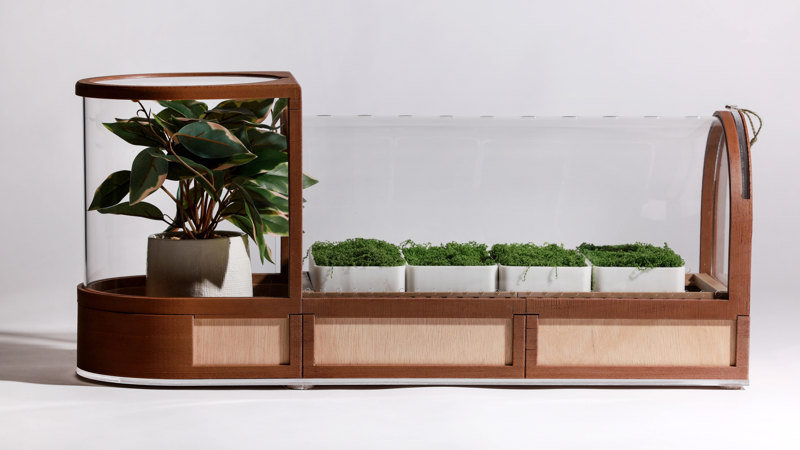 Wood-framed greenhouse with an arched, clear acrylic lid and an end compartment containing a potted plant.