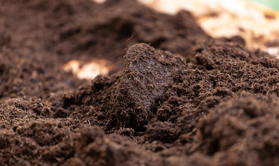 Clean potting soil in a pile