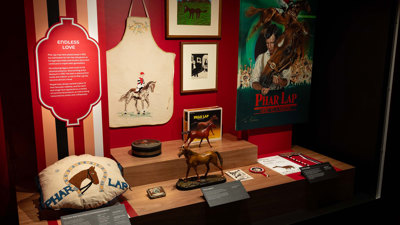 A display case showcasing Phar Lap memorabilia and promotional material from the days when Phar Lap was still racing. 
